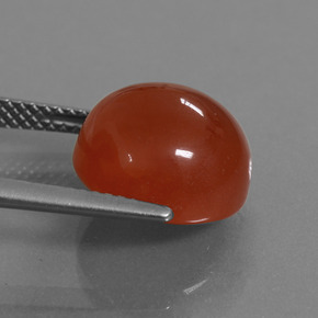 Cornaline orange naturelle coupe roude, 7,56 ct, translucide