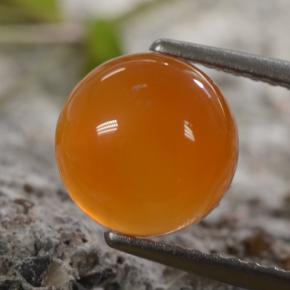 Cornaline Orange naturelle Coupe roude, 2.42 ct, Translucide