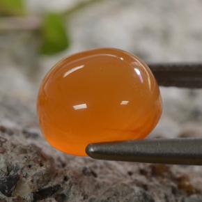 Cornaline Orange naturelle Coupe roude, 2.42 ct, Translucide