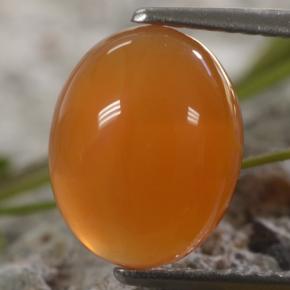 Cornaline Orange naturelle Coupe ovale, 2,56 ct, Translucide