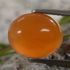 Cornaline Orange naturelle Coupe ovale, 2,56 ct, Translucide