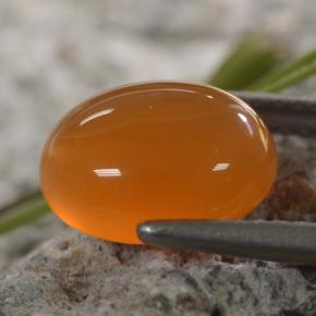 Cornaline Orange naturelle Coupe ovale, 2,56 ct, Translucide