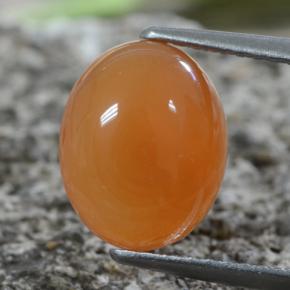 Cornaline Orange rougeâtre naturelle Coupe ovale, 2.88 ct, Translucide