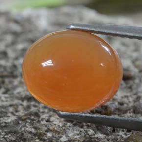 Cornaline Orange rougeâtre naturelle Coupe ovale, 2.88 ct, Translucide