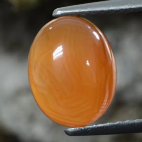 Cornaline orange naturelle coupe ovale, 2,92 ct, translucide