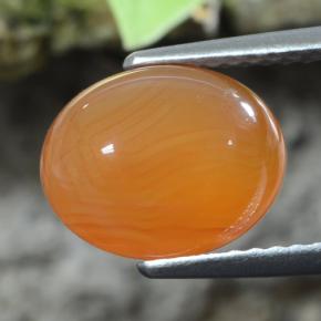 Cornaline orange naturelle coupe ovale, 2,92 ct, translucide