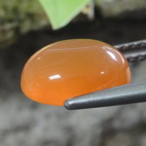 Cornaline orange naturelle coupe ovale, 2,92 ct, translucide
