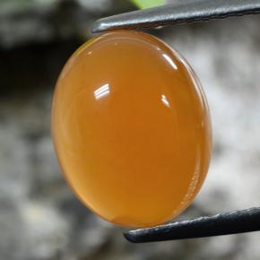 Cornaline abricot orange naturelle coupe ovale, 2,63 ct, translucide