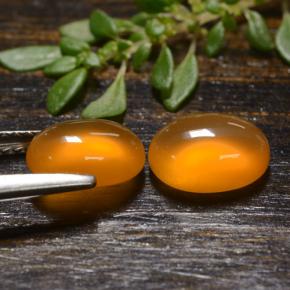 Achetez naturel 2.65ct Orange Cornaline gems, Coupe ovale, En provenance Inde chez GemSelect. En stock, livraison internationale!