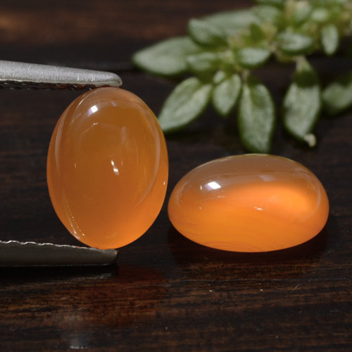 Achetez naturel 2,39ct orange cornaline gems, coupe ovale, en provenance inde chez gemselect. en stock, livraison internationale!
