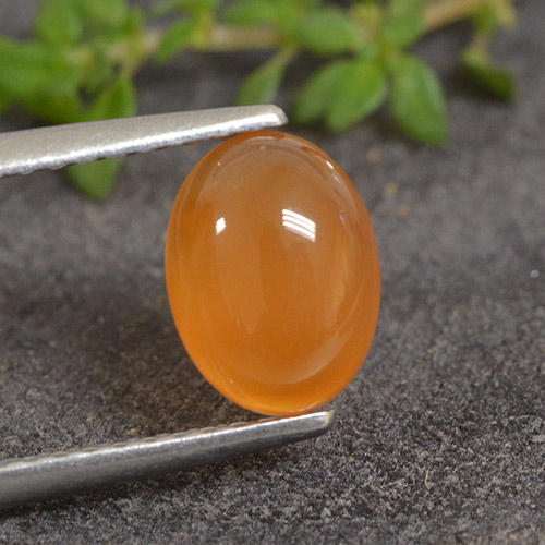 Cornaline Orange moyen naturelle Coupe ovale, 1.25 ct, Translucide