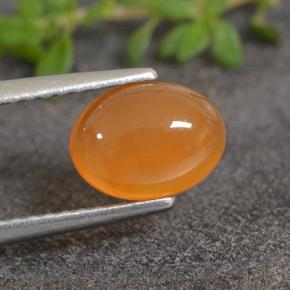 Cornaline Orange moyen naturelle Coupe ovale, 1.25 ct, Translucide