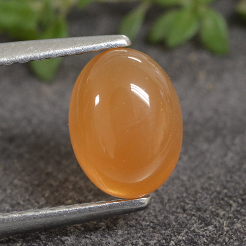 Cornaline Orange rougeâtre naturelle Coupe ovale, 1.40 ct, Translucide
