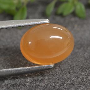 Cornaline Orange rougeâtre naturelle Coupe ovale, 1.40 ct, Translucide