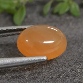 Cornaline Orange rougeâtre naturelle Coupe ovale, 1.40 ct, Translucide