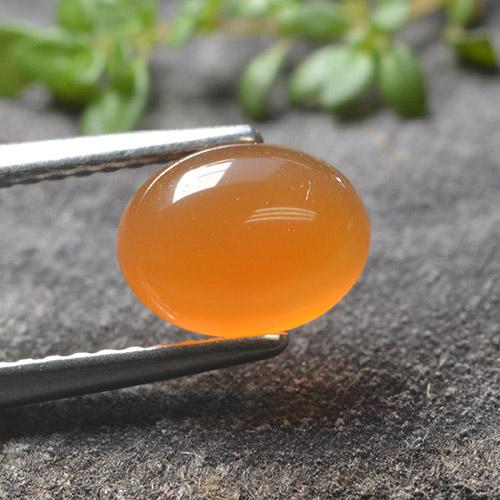 Cornaline orange naturelle coupe ovale, 1,33 ct, translucide