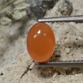 Cornaline Orange foncé naturelle Coupe ovale, 1.30 ct, Translucide