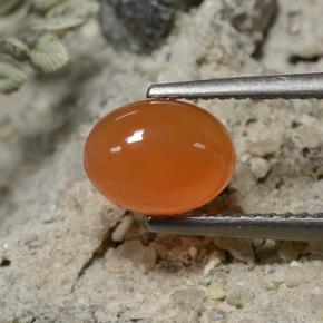 Cornaline Orange foncé naturelle Coupe ovale, 1.30 ct, Translucide