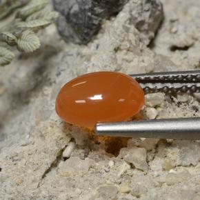 Cornaline Orange foncé naturelle Coupe ovale, 1.30 ct, Translucide