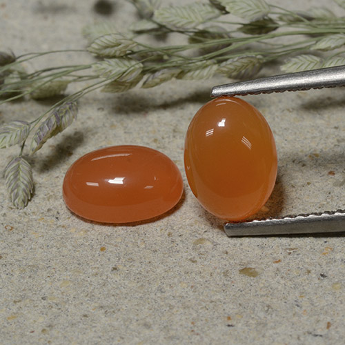 Achetez naturel 2.97ct Orange rougeâtre Cornaline gems, Coupe ovale, En provenance Inde chez GemSelect. En stock, livraison internationale!