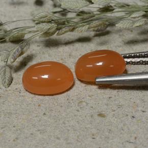 Achetez naturel 2.97ct Orange rougeâtre Cornaline gems, Coupe ovale, En provenance Inde chez GemSelect. En stock, livraison internationale!