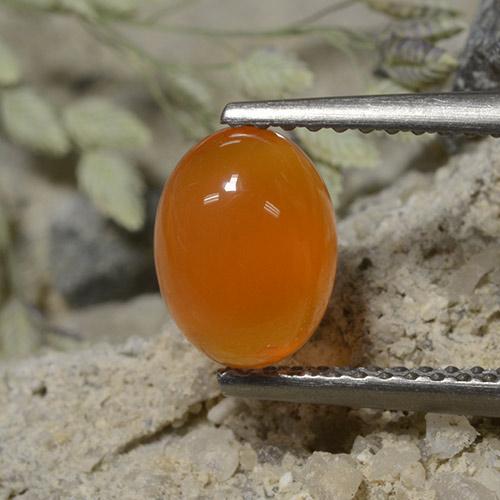 Cornaline Orange moyen naturelle Coupe ovale, 1.33 ct, Translucide