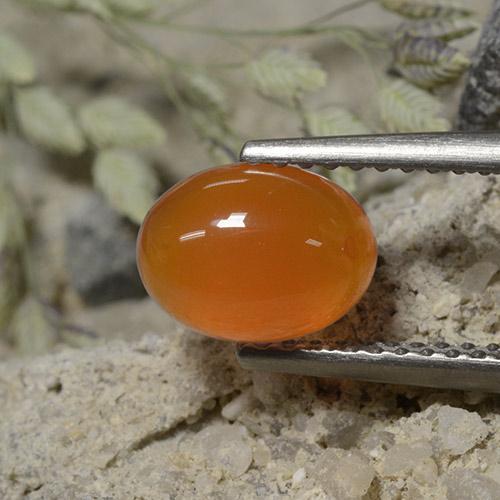 Cornaline Orange moyen naturelle Coupe ovale, 1.33 ct, Translucide