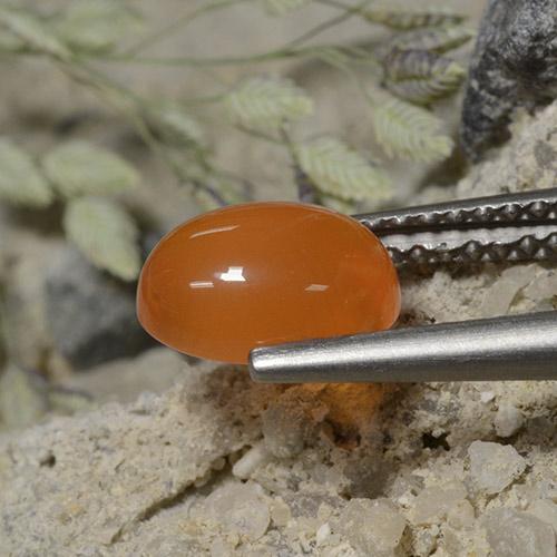 Cornaline Orange moyen naturelle Coupe ovale, 1.33 ct, Translucide
