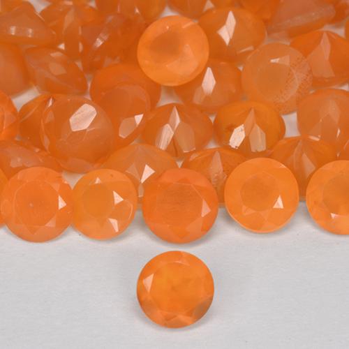 Cornaline Orange moyen naturelle Tour, 0.25 ct, Translucide