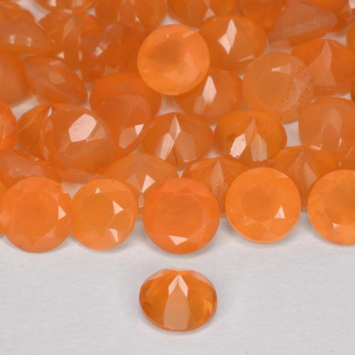 Cornaline Orange moyen naturelle Tour, 0.25 ct, Translucide