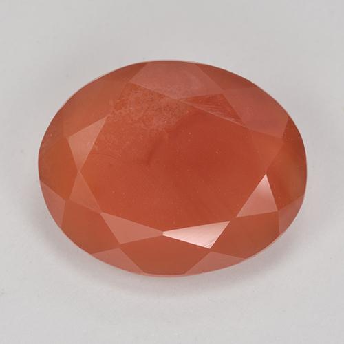 Cornaline Orange moyen naturelle Coupe ovale, 8.65 ct, Translucide
