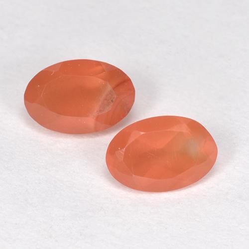 Achetez naturel 0,82ct orange rougeâtre cornaline gems, coupe ovale, en provenance inde chez gemselect. en stock, livraison internationale!