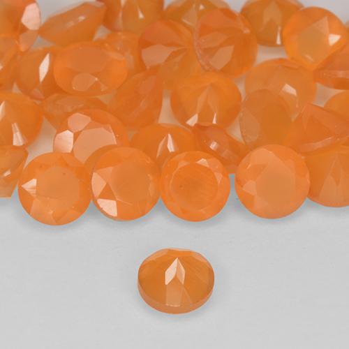 Cornaline Orange moyen naturelle Tour, 0.24 ct, Translucide