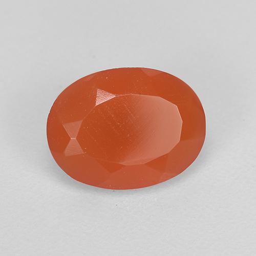 Cornaline Orange intense naturelle Coupe ovale, 0.90 ct, Translucide