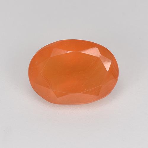 Cornaline Orange vif naturelle Coupe ovale, 0,81 ct, Translucide