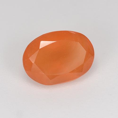 Cornaline Orange vif naturelle Coupe ovale, 0,81 ct, Translucide