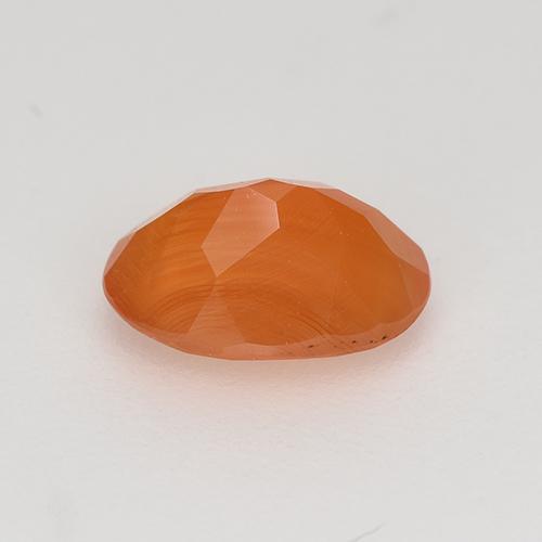 Cornaline Orange vif naturelle Coupe ovale, 0,81 ct, Translucide