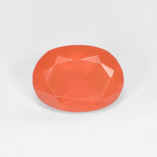 Cornaline Orange feu naturelle Coupe ovale, 0.60 ct, Translucide