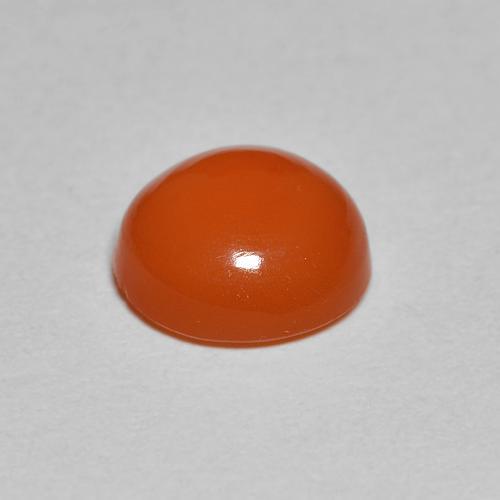 Cornaline Orange rouge foncé naturelle Coupe roude, 1.55 ct, Translucide