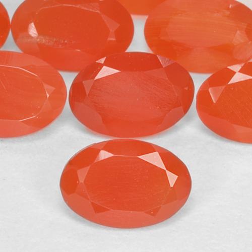 Achetez naturel 1.55ct Orange rouge foncé Cornaline gems, Coupe ovale, En provenance Inde chez GemSelect. En stock, livraison internationale!
