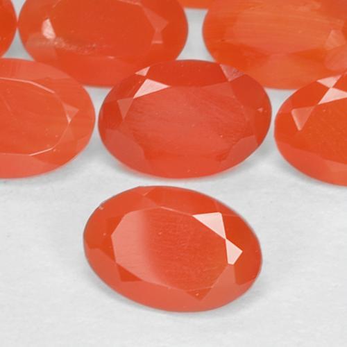 Achetez naturel 1.55ct Orange rouge foncé Cornaline gems, Coupe ovale, En provenance Inde chez GemSelect. En stock, livraison internationale!