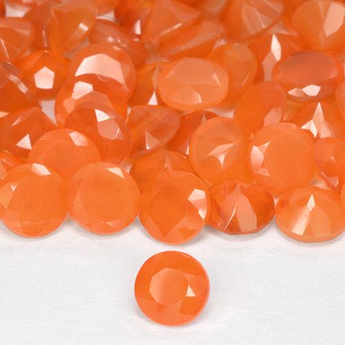 Achetez naturel 0.49ct Orange vif Cornaline gems, Coupe roude, En provenance Inde chez GemSelect. En stock, livraison internationale!
