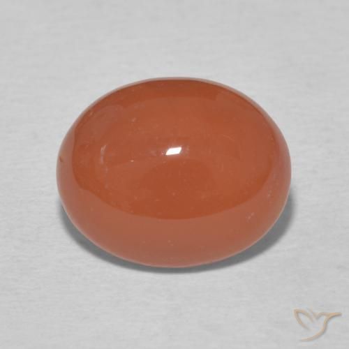 3.15ct Naturel Orange moyen Cornaline, ovale, Opaque