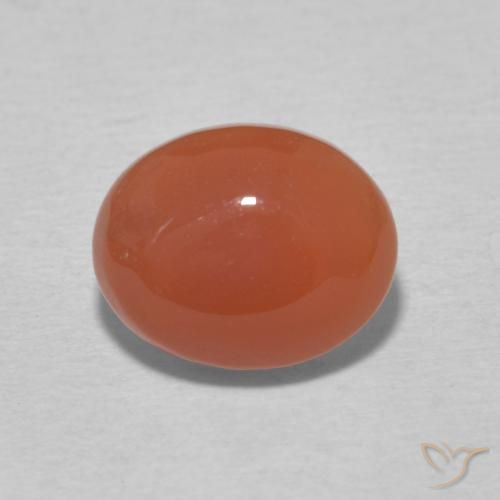2.66ct Naturel Orange moyen Cornaline, ovale, Opaque