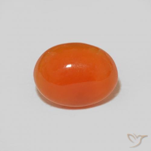 Cornaline Orange intense naturelle Coupe ovale, 1.57 ct, Opaque