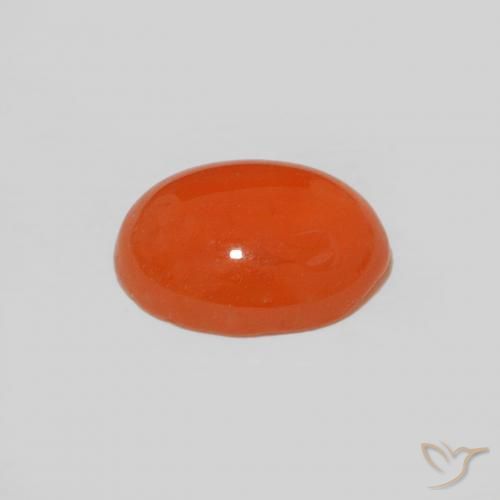 Cornaline Orange intense naturelle Coupe ovale, 1.57 ct, Opaque