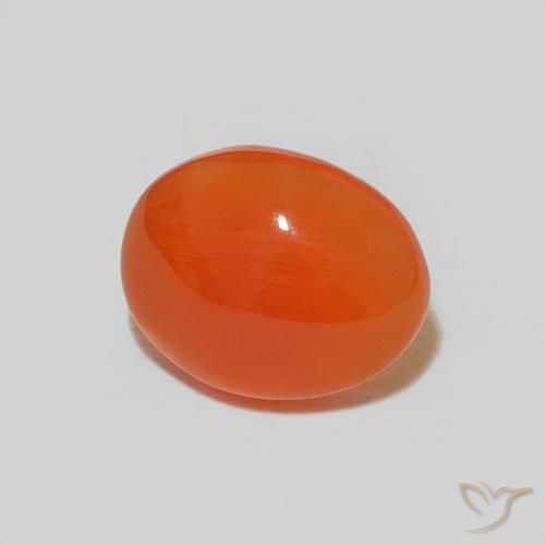 Cornaline Orange moyen naturelle Coupe ovale, 1.54 ct, Opaque