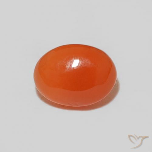 Cornaline orange intense naturelle coupe ovale, 1,53 ct, opaque
