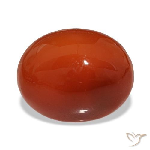 Cornaline rouge de 3,06 ct, ovale, translucide
