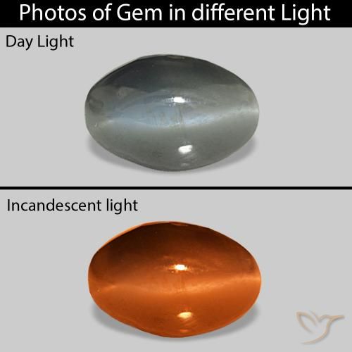 Cat's Eye Alexandrite Gris moyen naturelle ovale, 1.00 ct, Opaque